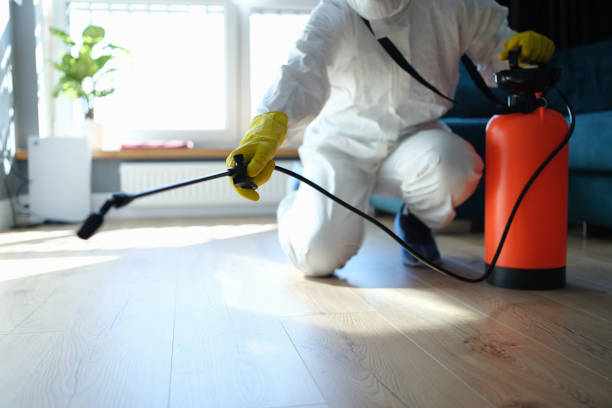 Best Insect Control  in Bardmoor, FL
