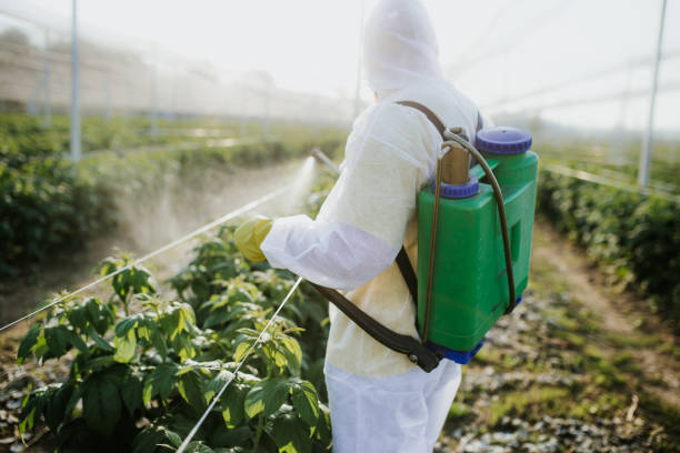 Best Pest Inspection Near Me  in Bardmoor, FL
